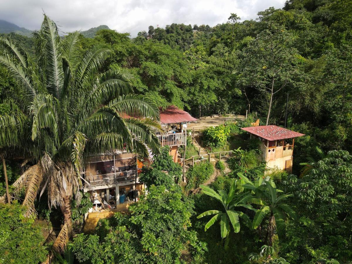 Sol De Minca Eco Lodge エクステリア 写真