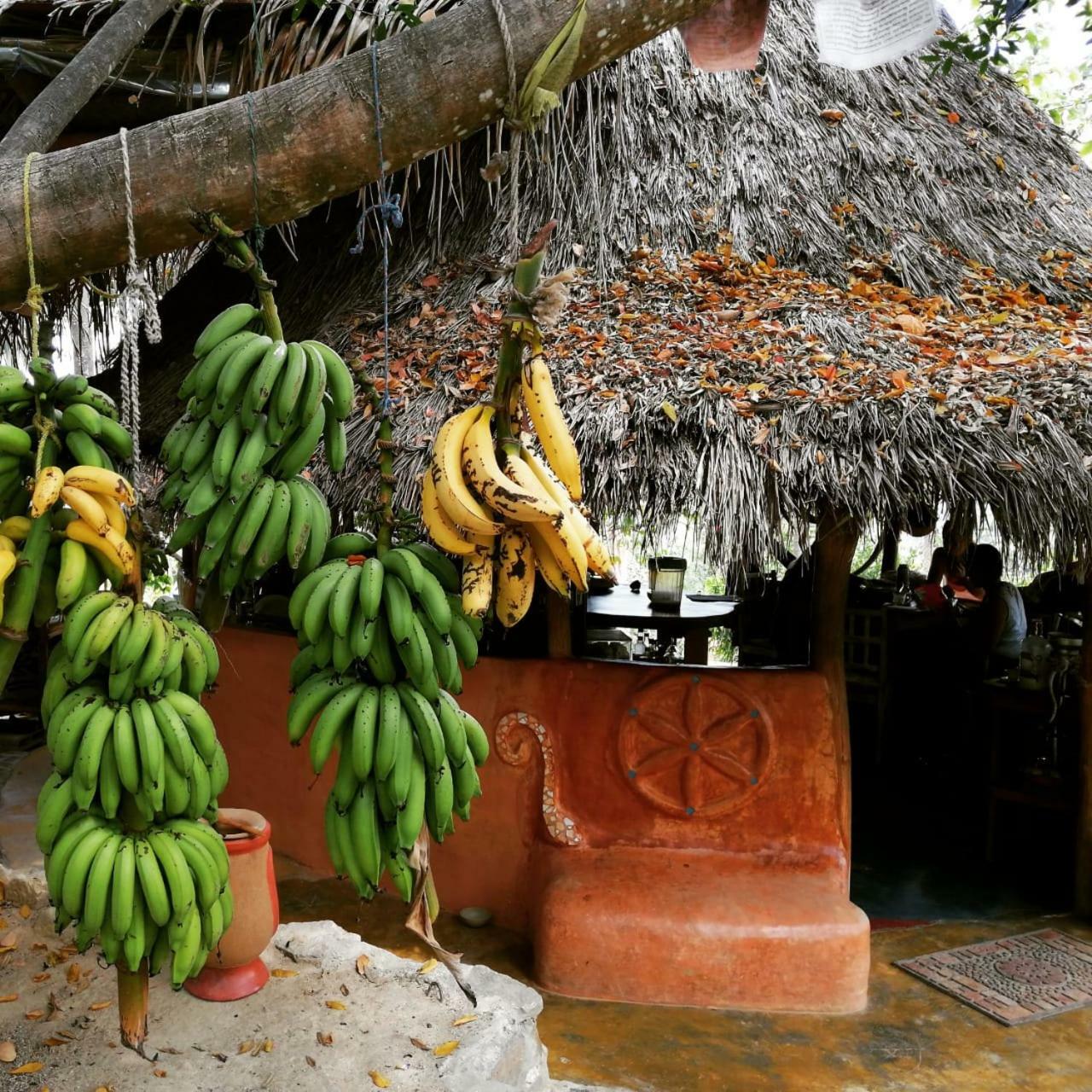 Sol De Minca Eco Lodge エクステリア 写真