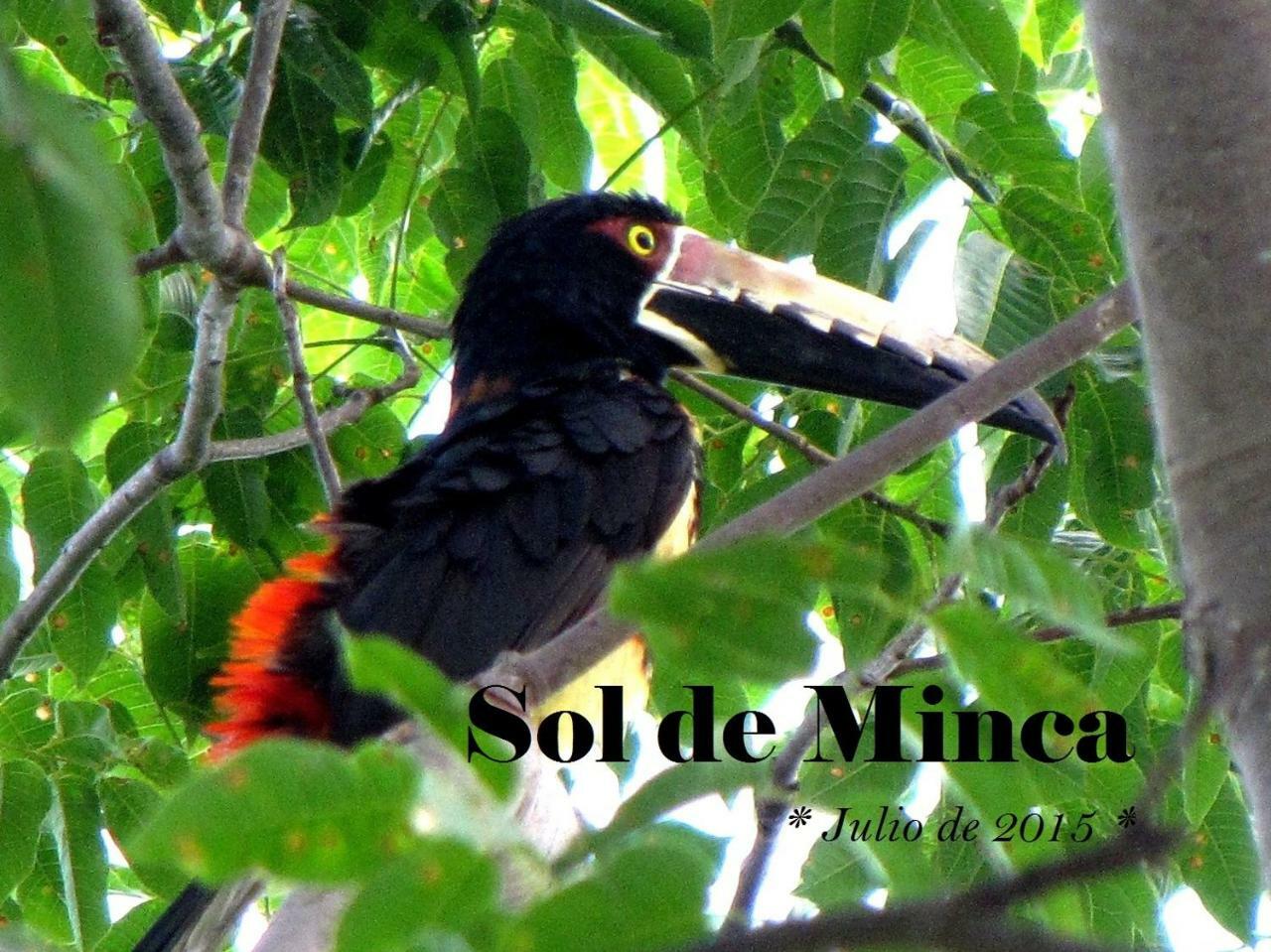 Sol De Minca Eco Lodge エクステリア 写真
