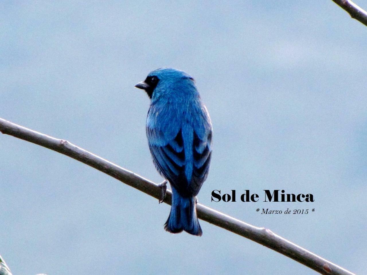 Sol De Minca Eco Lodge エクステリア 写真