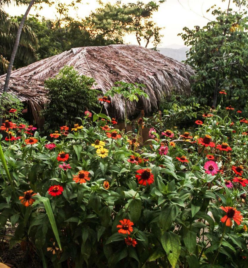 Sol De Minca Eco Lodge エクステリア 写真