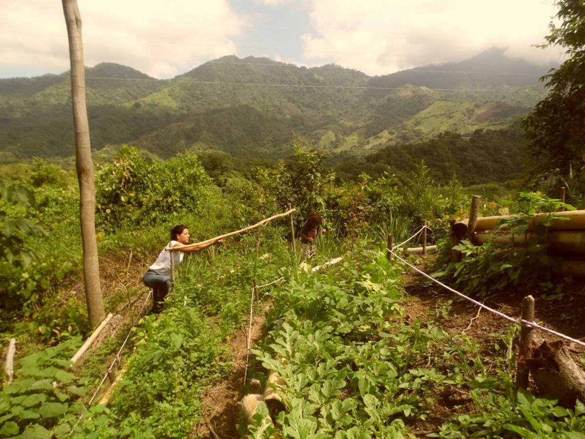 Sol De Minca Eco Lodge エクステリア 写真